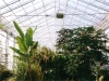 Tropenhaus 2